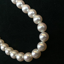 パールのネックレスの写真